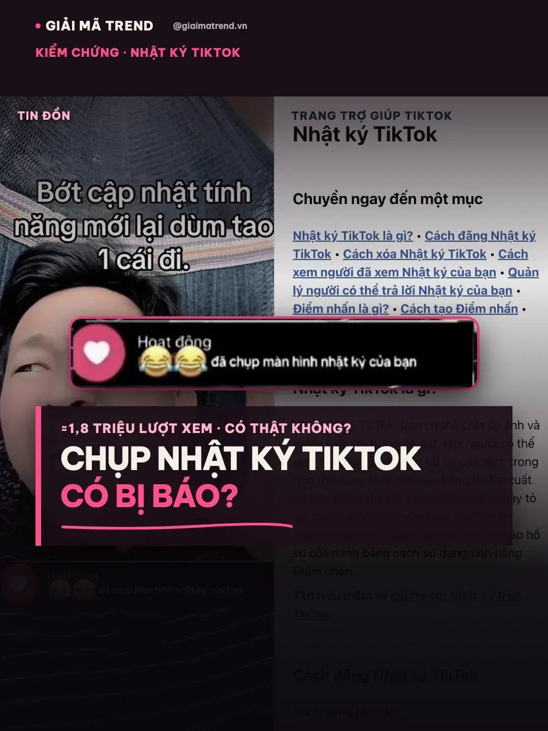 Ảnh bìa: Chụp màn hình Nhật ký TikTok