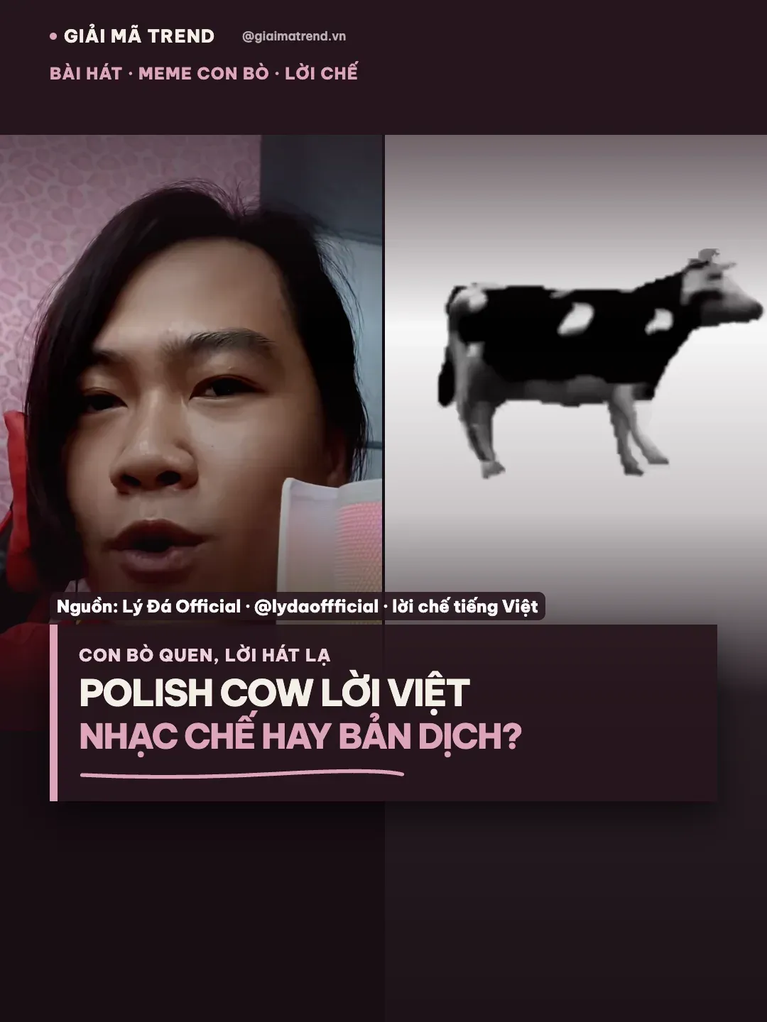 Ảnh bìa: Polish Cow lời Việt